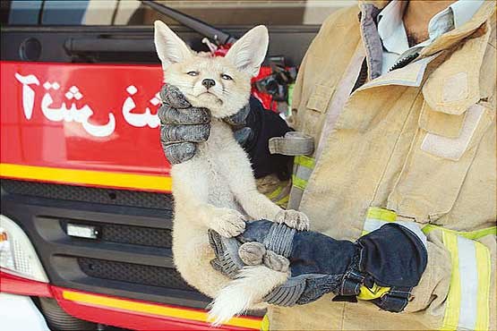 پذیرایی از مهمانان ناخوانده پذیرایی از مهمانان ناخوانده