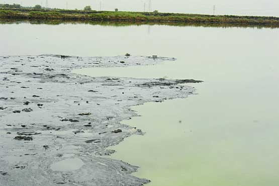 آلودگی نفتی در رودخانه جراحی