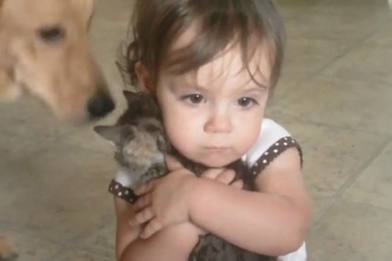 کودکی که حاضر نیست بچه گربه را رها کند