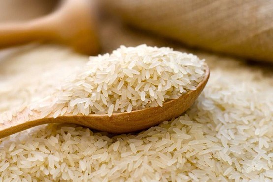 برنامه ای برای شناسایی برنج ایرانی و خارجی