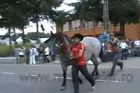 عاقبت اذیت کردن اسب