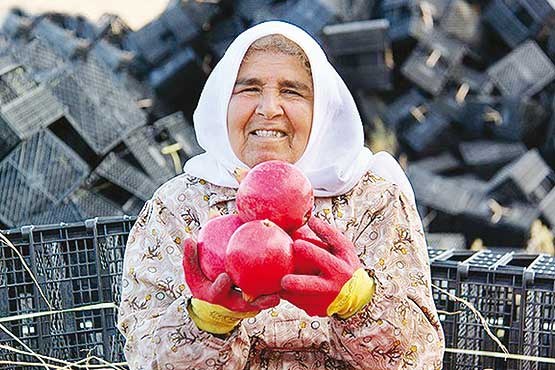 بگذار کمی بهار بیاید