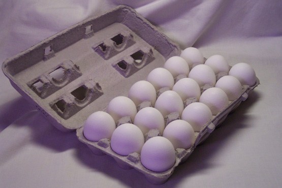 کاردستی با شانه تخم‌مرغ برای کودکان