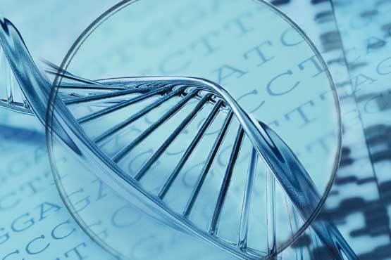 نگاه ‌تجاری،‌ ژنتیک پزشکی را به انحراف می‌برد