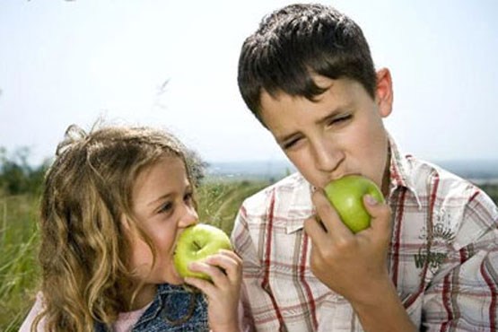 رهایی از خطر سکته با خوردن یک سیب در روز