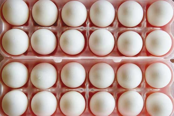 صادرات تخم‌مرغ همچنان ممنوع است