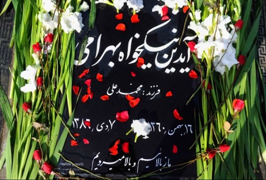 میهمانی "آیدین" در ششمین سال پرواز/ عکس میهمانی "آیدین" در ششمین سال پرواز/ عکس