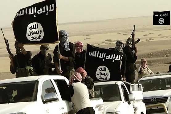 داعش جنگجویانش را ازعراق فراخواند