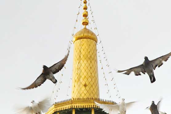 سلام‌‌آقای‌عاشقی‌ها