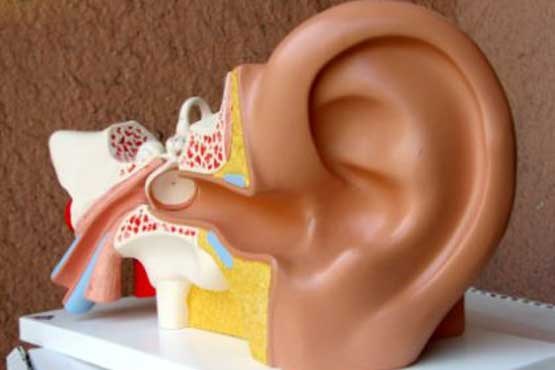 شایع‌ترین بیماری گوش در کودکان سن مدرسه