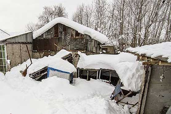 برف 40 روستای فریدونشهر را محاصره کرد