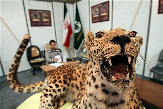 افتتاح نمایشگاه بین المللی محیط زیست