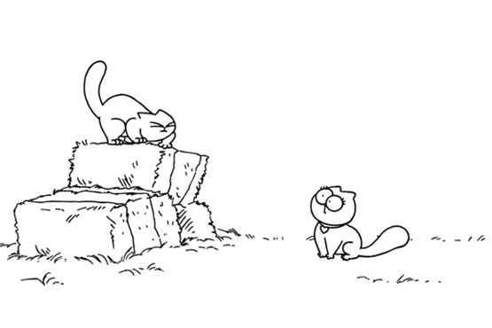 انیمیشن زیبایی از دوستی گربه