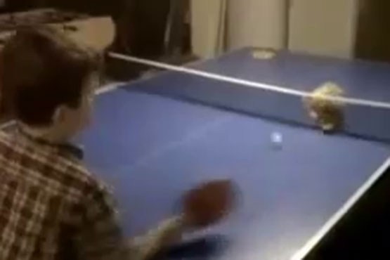 مهارت گربه در پینگ پنگ