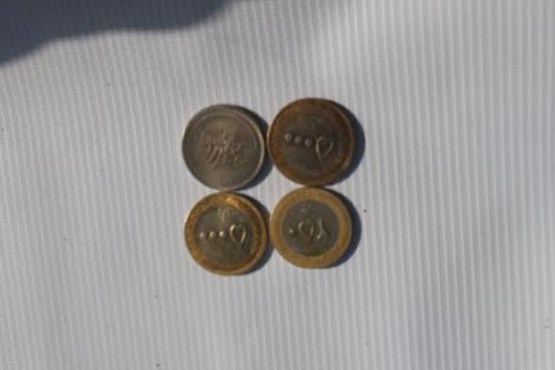 باند توزیع سکه های تقلبی به دام پلیس افتادند