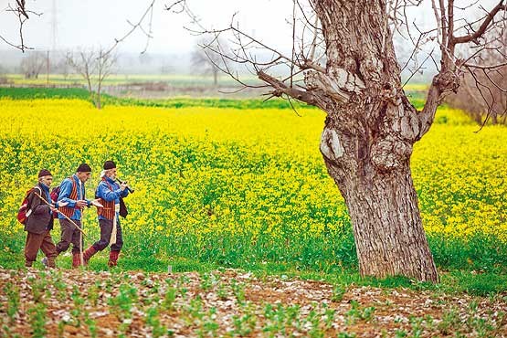 حالا وقت چرتکه انداختن است حالا وقت چرتکه انداختن است