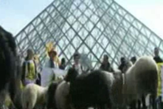 دامداران و گوسفندان مقابل موزه لوور