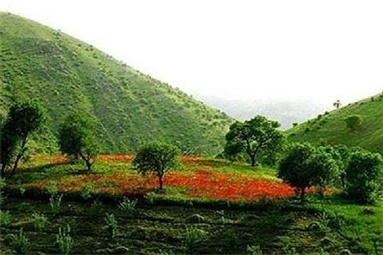 زمزمه ترانههای محلی در دل طبیعت زمزمه ترانههای محلی در دل طبیعت