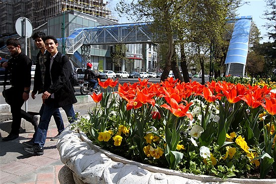 حال و هوای بهاری پایتخت