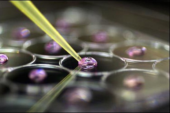 گام بلند دانشمندان به سوی تولید سلول مصنوعی