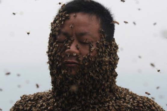 مردی از جنس زنبور + عکس