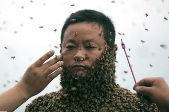 پوشاندن بدن با نیم میلیون زنبور زنده! |مجموعه عکس|