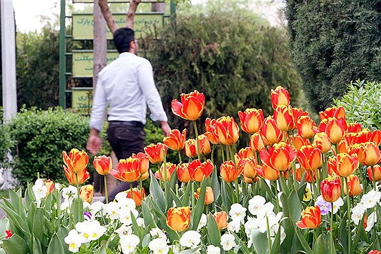 طبیعت بهاری بوستان لاله تهران