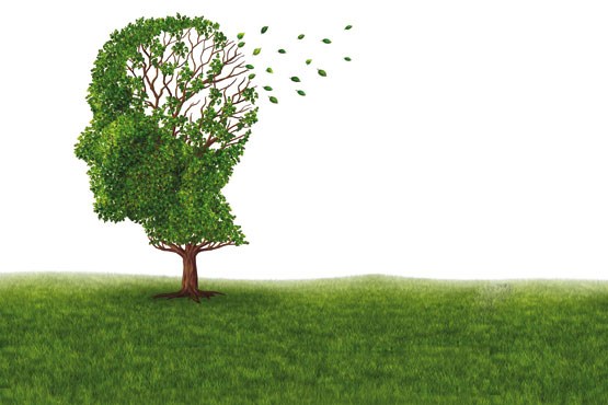 ضربه به سر، زنگ خطری برای بروز آلزایمر در میانسالان