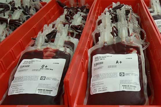 کارمندان شب‌کار، خون‌ اهدا کنند