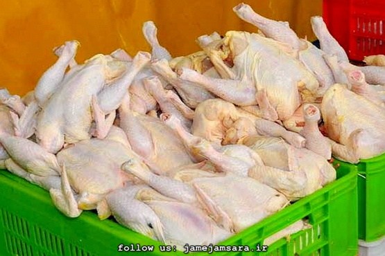 گوشت مرغ را قبل از پخت نشوئید