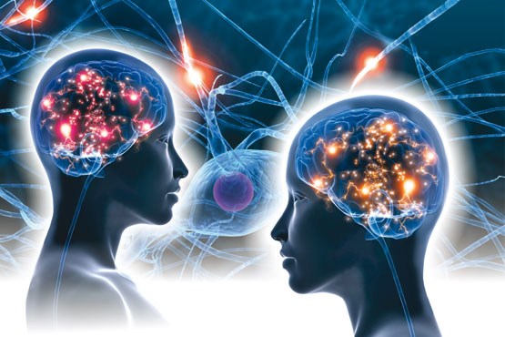 پیش بینی رفتارهای پرخطر نوجوانان با اسکن مغز