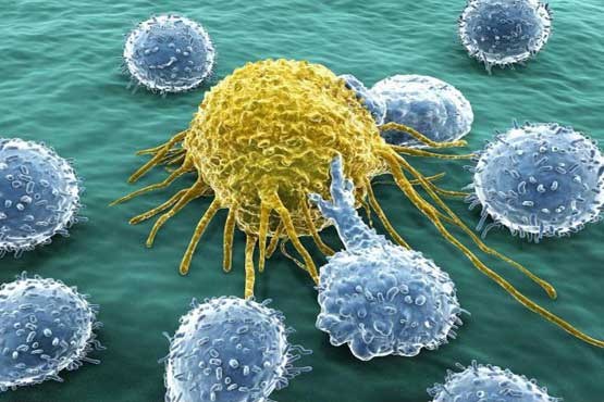 کشف شواهدی از وجود سلول‌های بنیادی سرطان در بدن