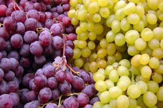 مصرف انگور به سلامت چشم کمک می کند
