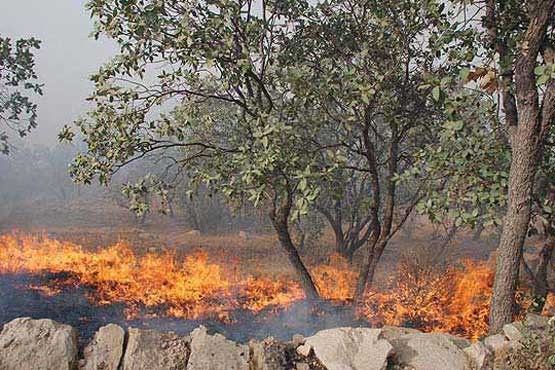 45 مورد آتش‌سوزی در مراتع فارس طی سه ماه