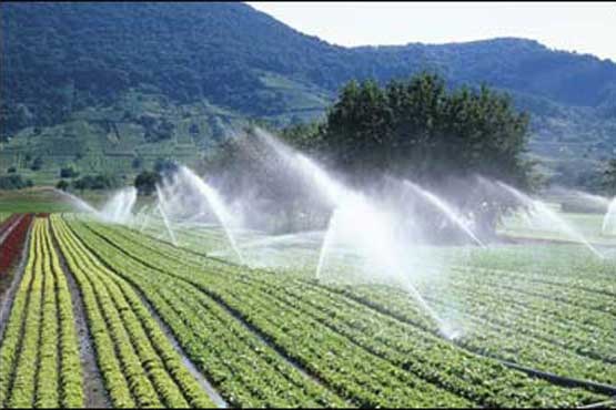 اجرای آبیاری نوین در 100 هکتار اراضی کشاورزی سیستان و بلوچستان