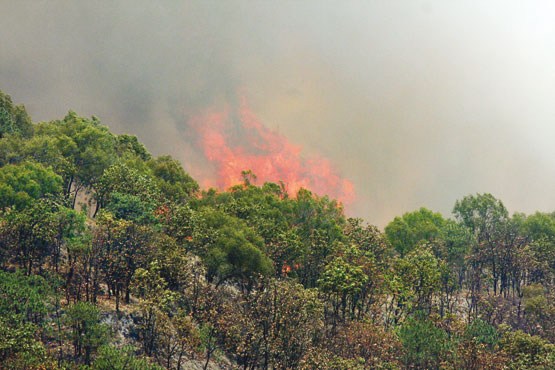 آتش‌ پارک ملی گلستان خاموش شد