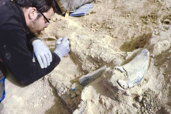 آغاز کاوش‌های باستان‌شناسی در مناطق تاریخی ایران