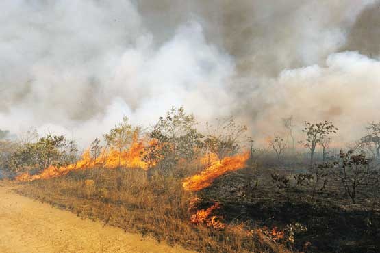 400 هکتار از جنگل های کهگیلویه و بویراحمد در آتش سوخت