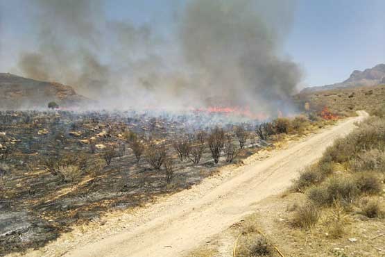 آتش‌سوزی عمدی در جنگل‌های مهارلو