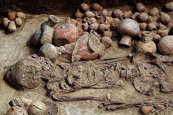 کشف اسکلت «نوح» در زیرزمین موزه‌ پنسیلوانیا