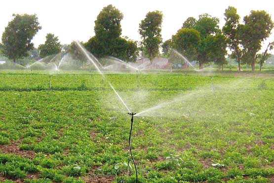 اراضی کشاورزی 70 درصد آب کشور را می​بلعد