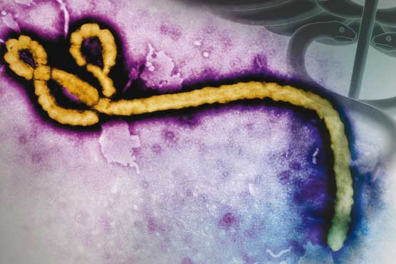 چگونه ابولا نگیریم ؟