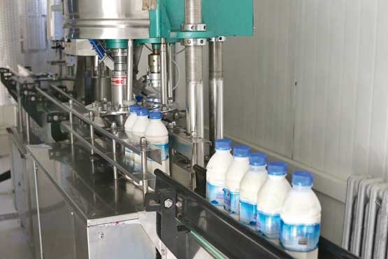 شیر تو شیر محصولات لبنی