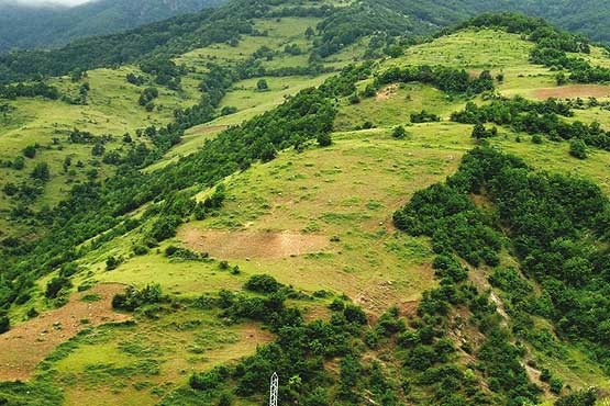 نقاط داغ تنوع زیستی در ایران