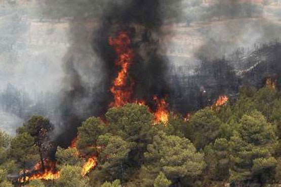 آتش سوزی 406 هکتار از عرصه های حفاظت شده خراسان شمالی