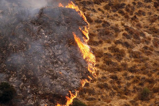 مهار آتش‌سوزی صد‌ها هکتار اراضی جنگلی در اندیمشک