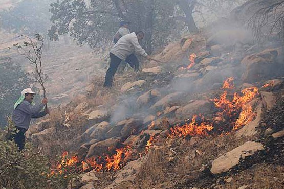 آتش سوزی در جنگل های ایلام