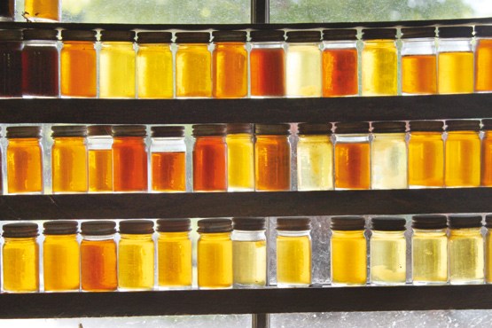گونه‌های مختلف عسل