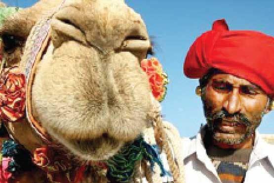 جشنواره شتر در هند