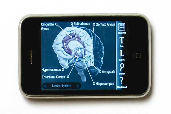 اولین اپلیکیشن معتبر برای سنجش سلامت مغز